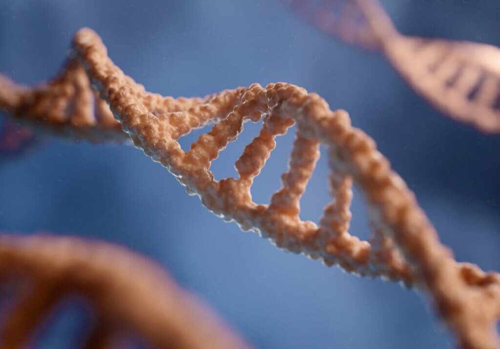 DNA See. We are related!